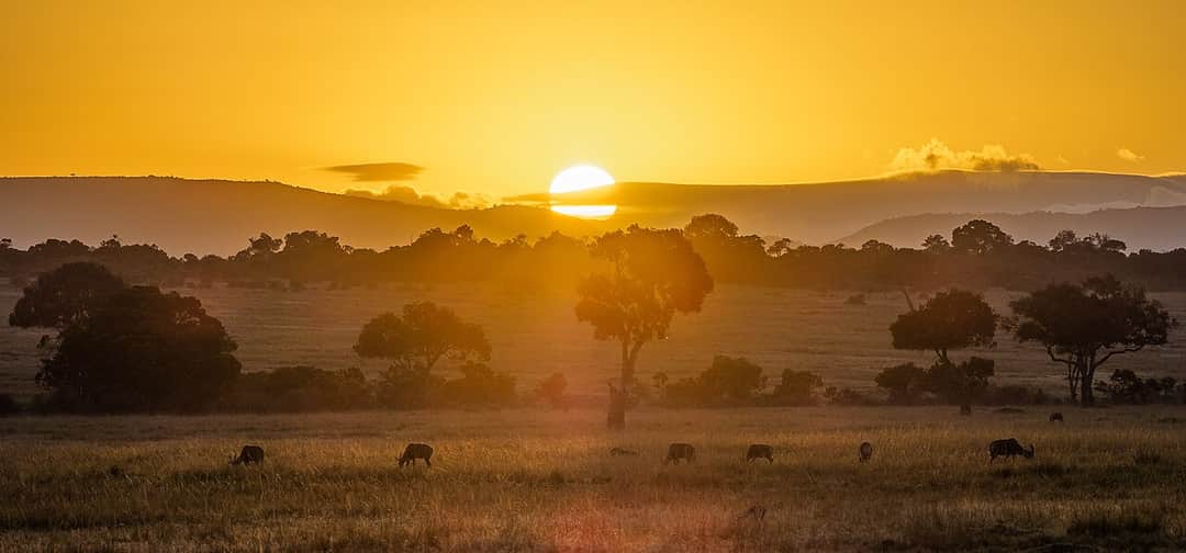 12-Day Kenya & Tanzania Safari with Zanzibar Finish