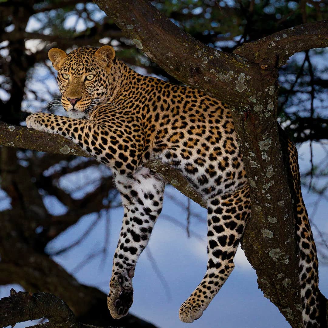 5-Day Kruger National Park Safari photo 3