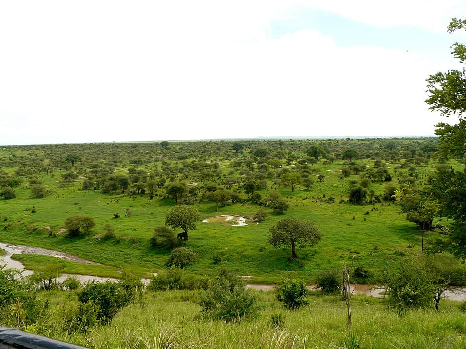 Arusha to Tarangire National Park