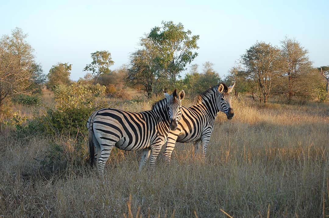 14-Day Ultimate Southern Africa: Kruger, Victoria Falls & Cape Town