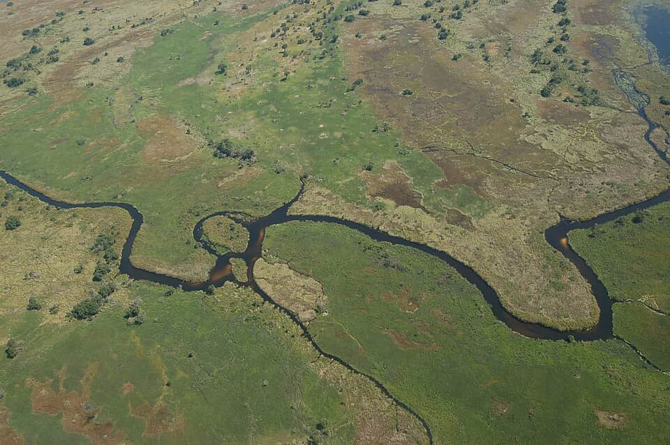 Maun to Okavango Delta Camp