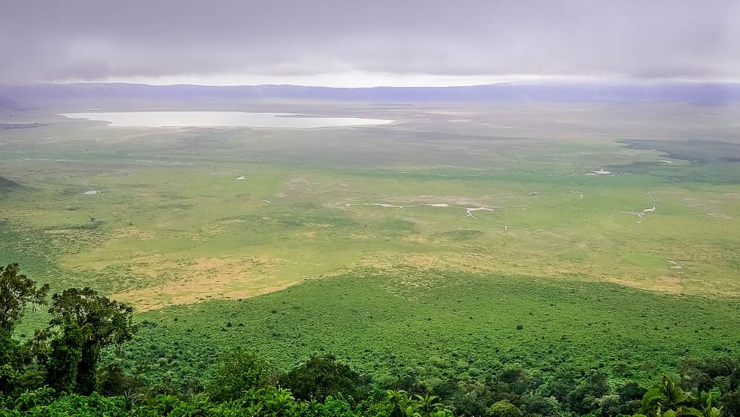 1-Day Ngorongoro Crater Day Trip from Arusha