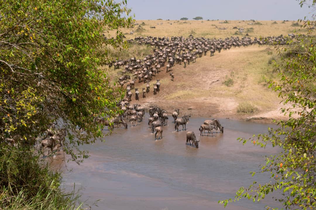 5-tägige Olpejeta, Nakuru, Mara Budget-Tour photo 5