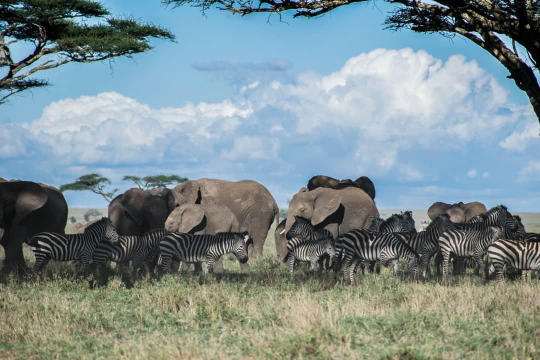 4-Day Whispers of Love in the Wild photo 14