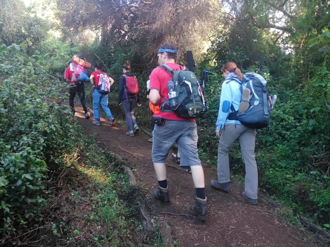 Kupanda Mlima Kilimanjaro Njia ya Machame kwa Siku 7 photo 3