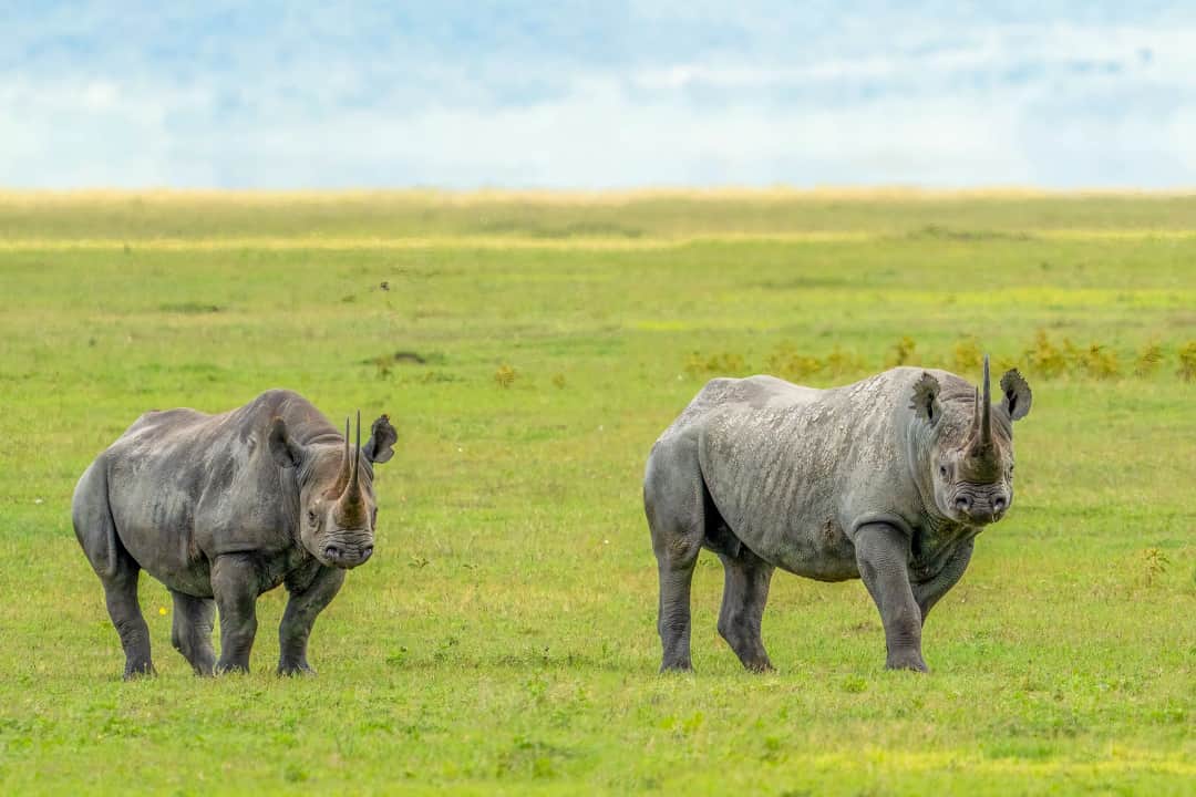 3-Day Tarangire, ngorongoro and manyara