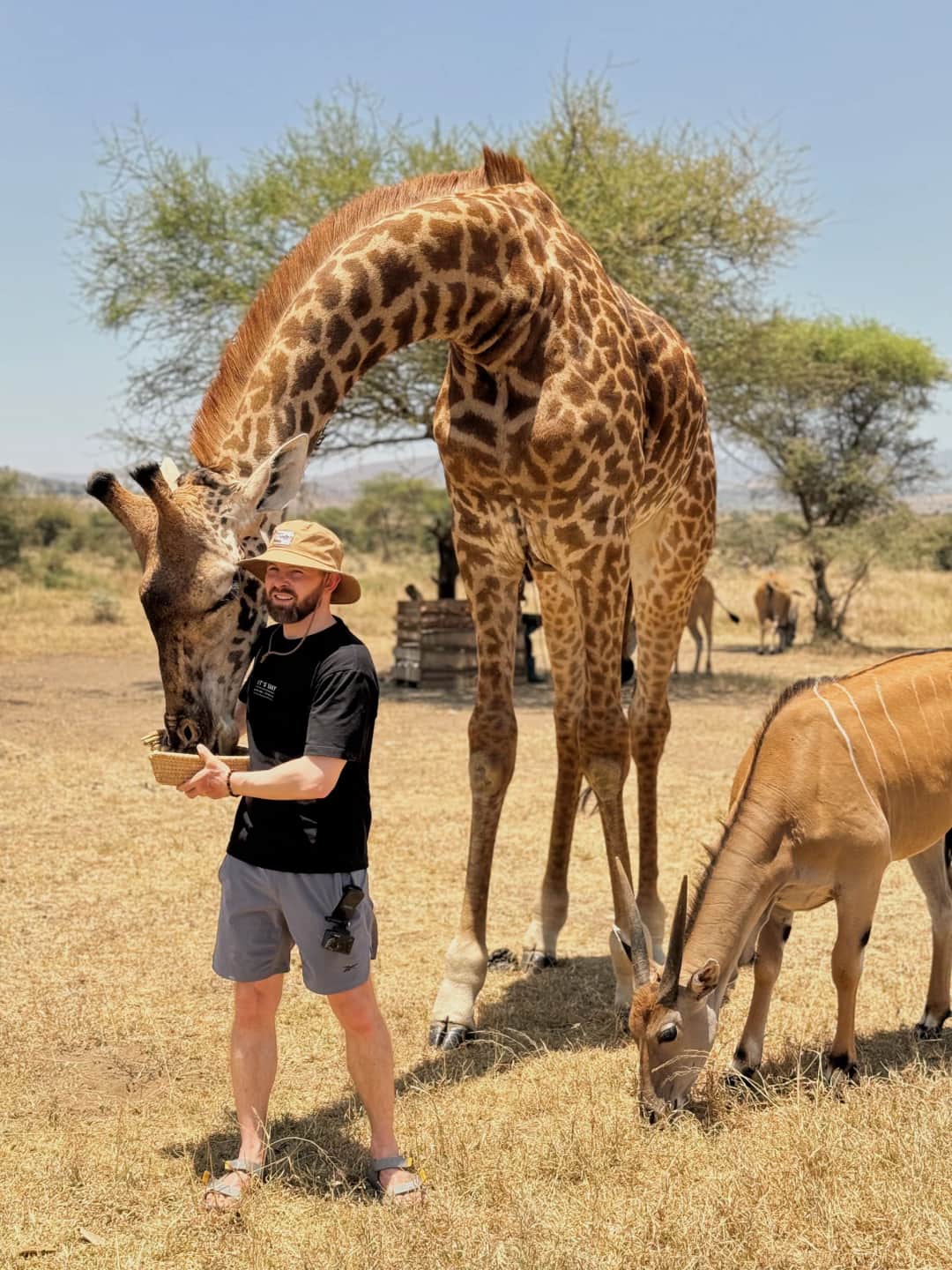 1-Day Serval Wildlife Sanctuary Trip