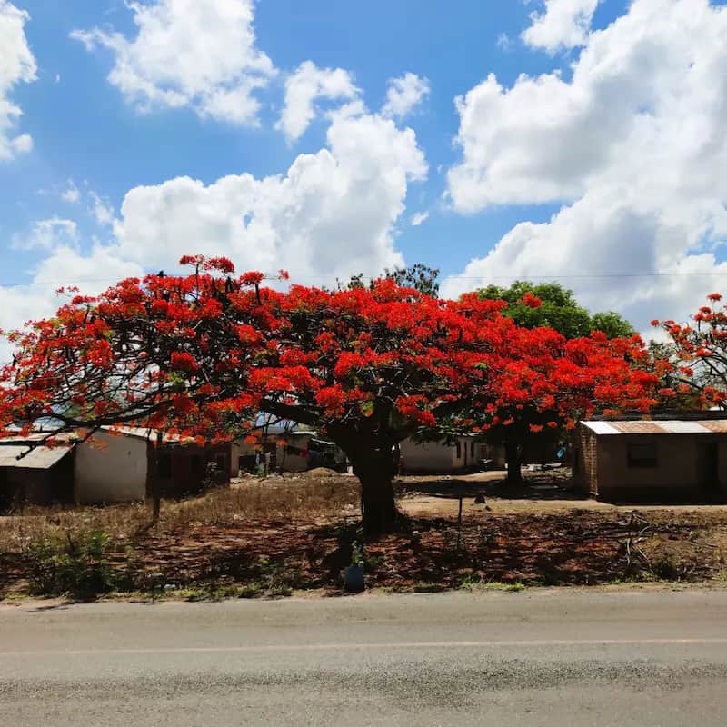 Return to Dar es Salaam