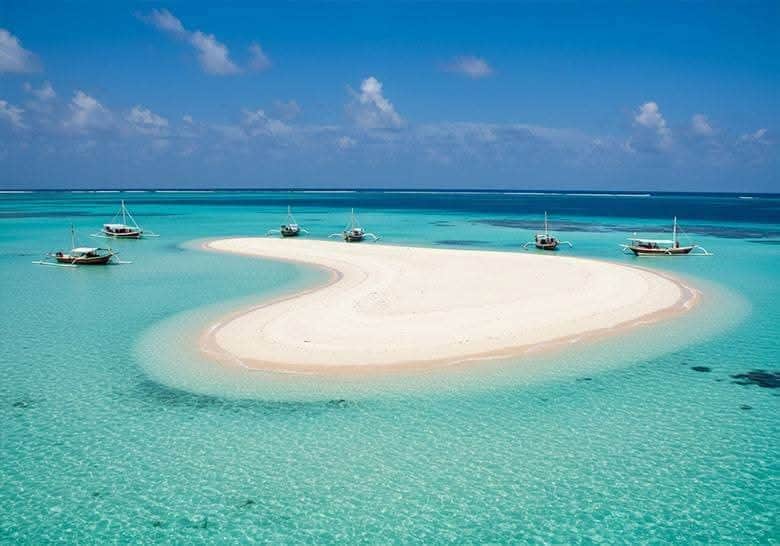 Velocity Zanzibar Tour & Safaris photo 20