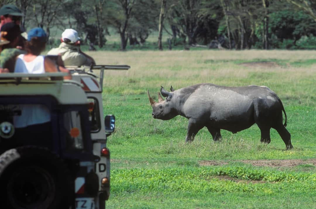 3-Day Tanzania SafarTarangire, Ngorongoro & Lake Manyara photo 4