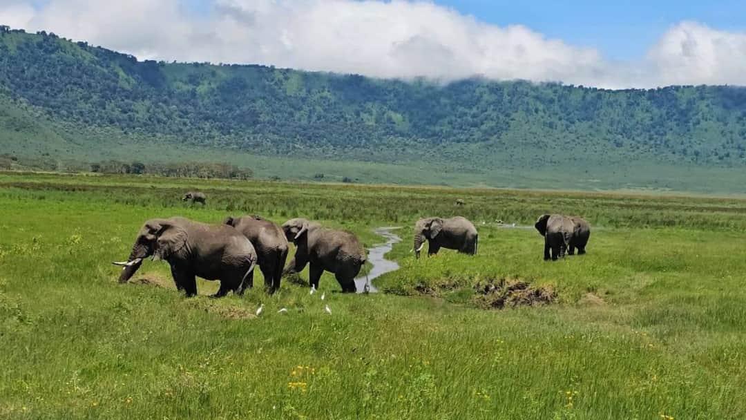 10-Day Ultimate Tanzania Safari & Zanzibar Escape photo 5