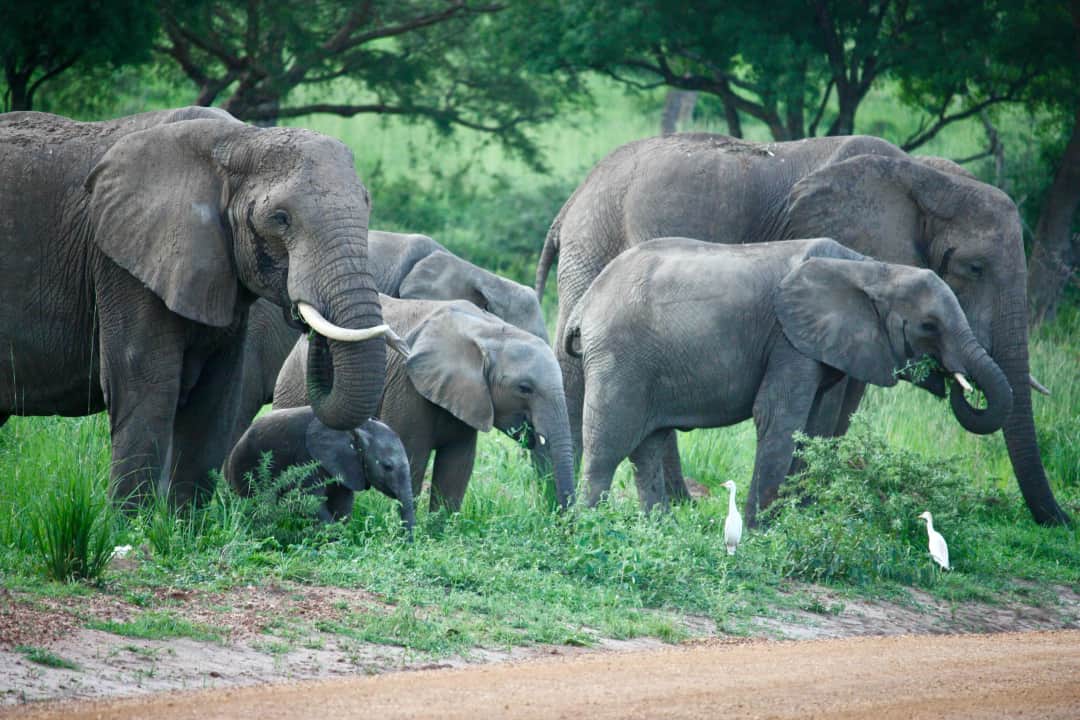 3-Day Jewels of Tanzania - Mid-Range photo 4