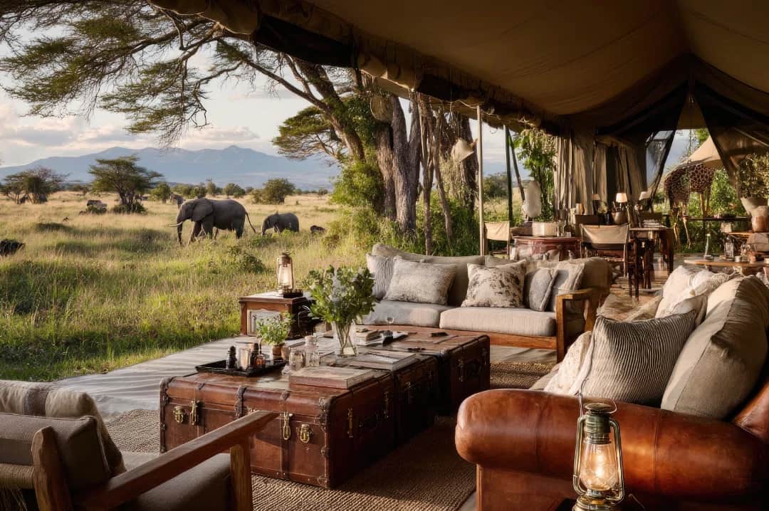 Sentio Safari photo 18