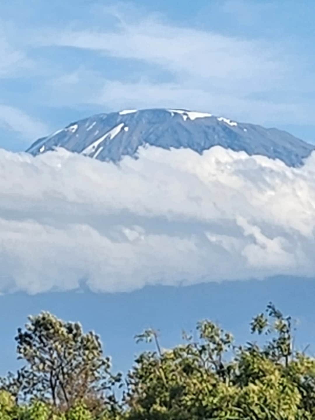 Absolutely Kili and Travel Ltd photo 4