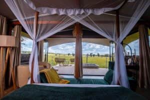 Escarpment Luxury Lodge photo 13