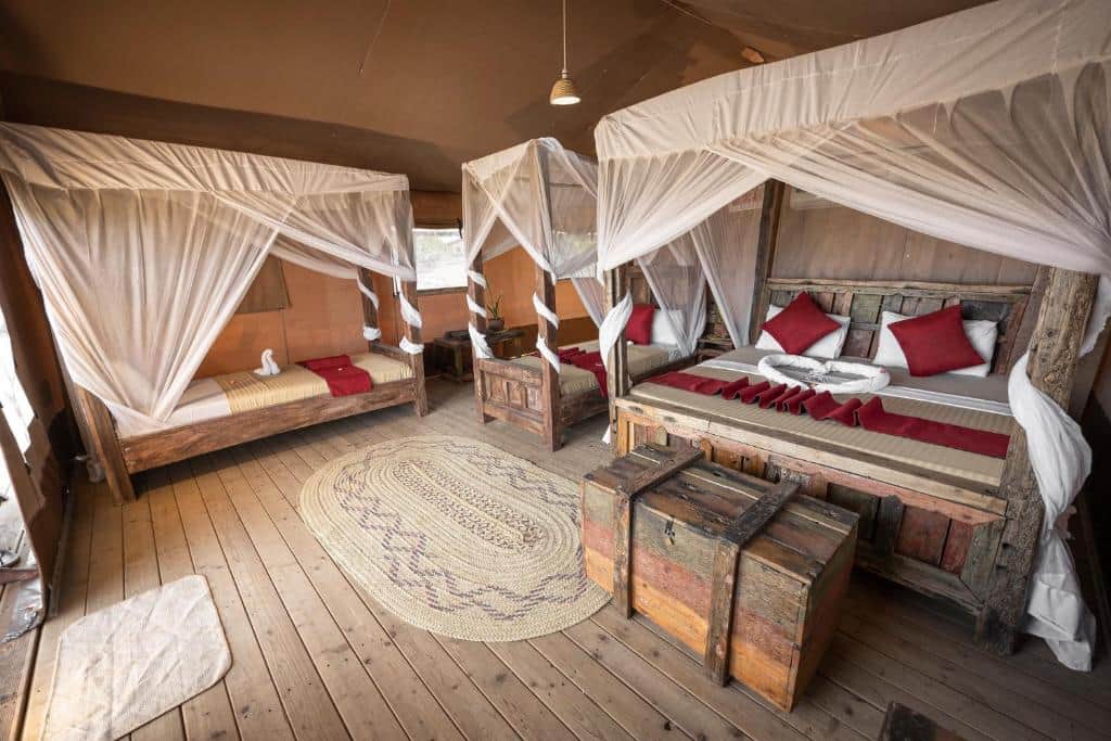 Africa Safari Lake Natron Lodge photo 23