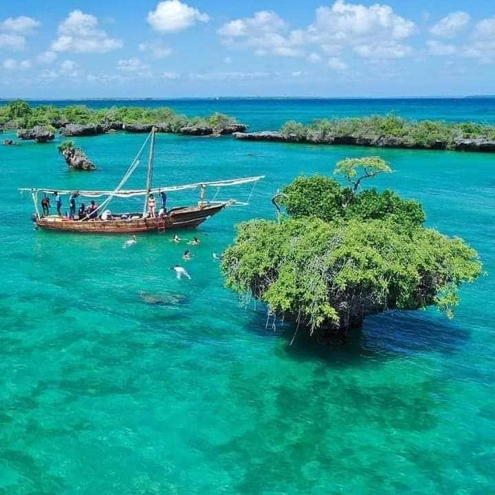 1-Day Safari Blue Tour- Full Day photo 3