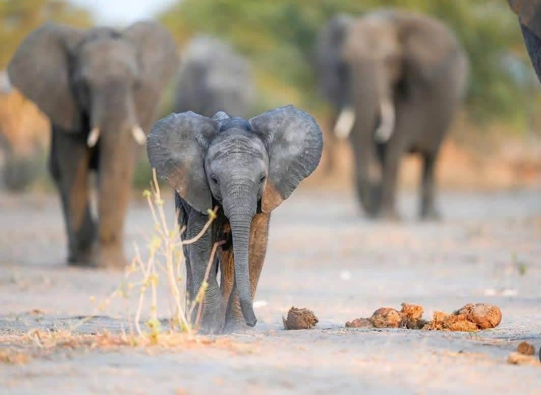 Velocity Zanzibar Tour & Safaris photo 9