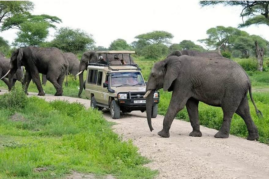 9-Day Kilimanjaro Climb & Wildlife Safari photo 2