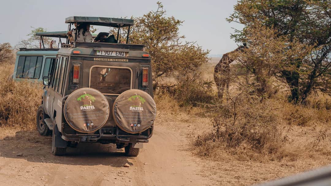 DASTEL TOUR AND SAFARIS photo 1