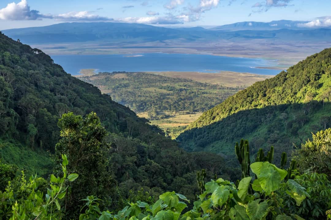 5-Day Serengeti & Ngorongoro Wildlife Safari
