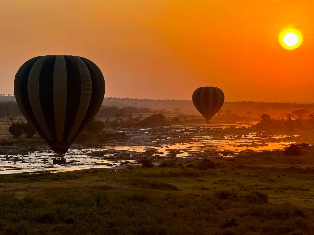 2 Cent Billion Africa Safari’s photo 1
