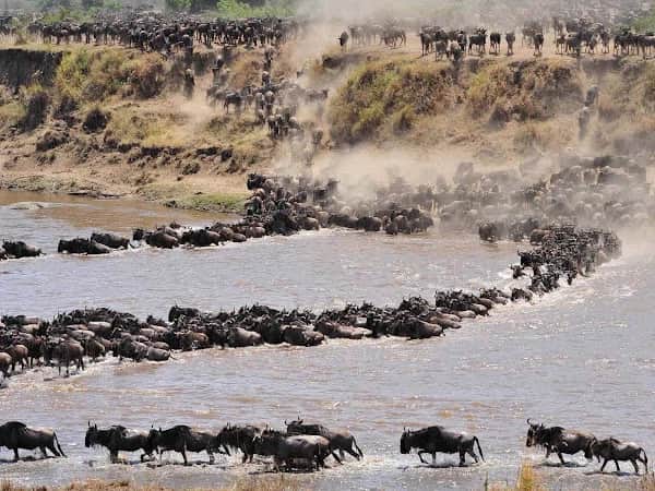 6-Day The Great Serengeti Migration Safari photo 1