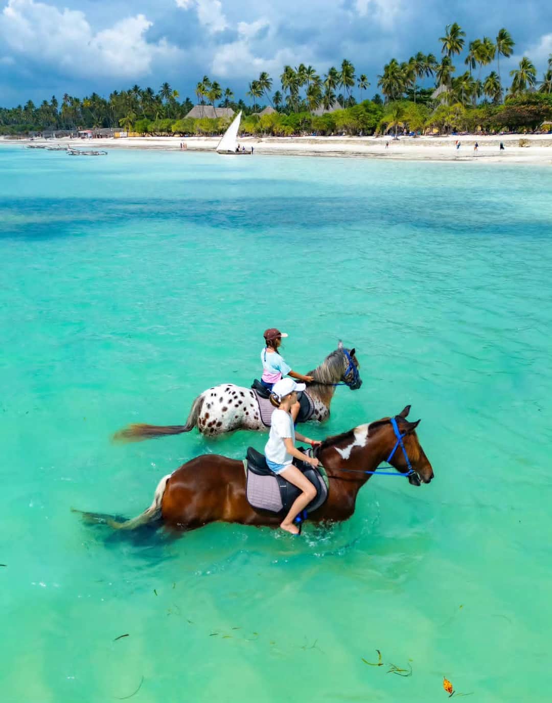 Velocity Zanzibar Tour & Safaris photo 23