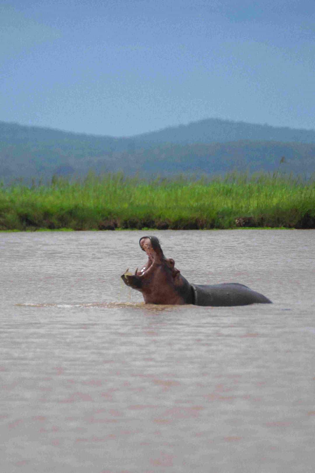 Dar es Salaam to Nyerere National Park (Selous) + Boat Safari