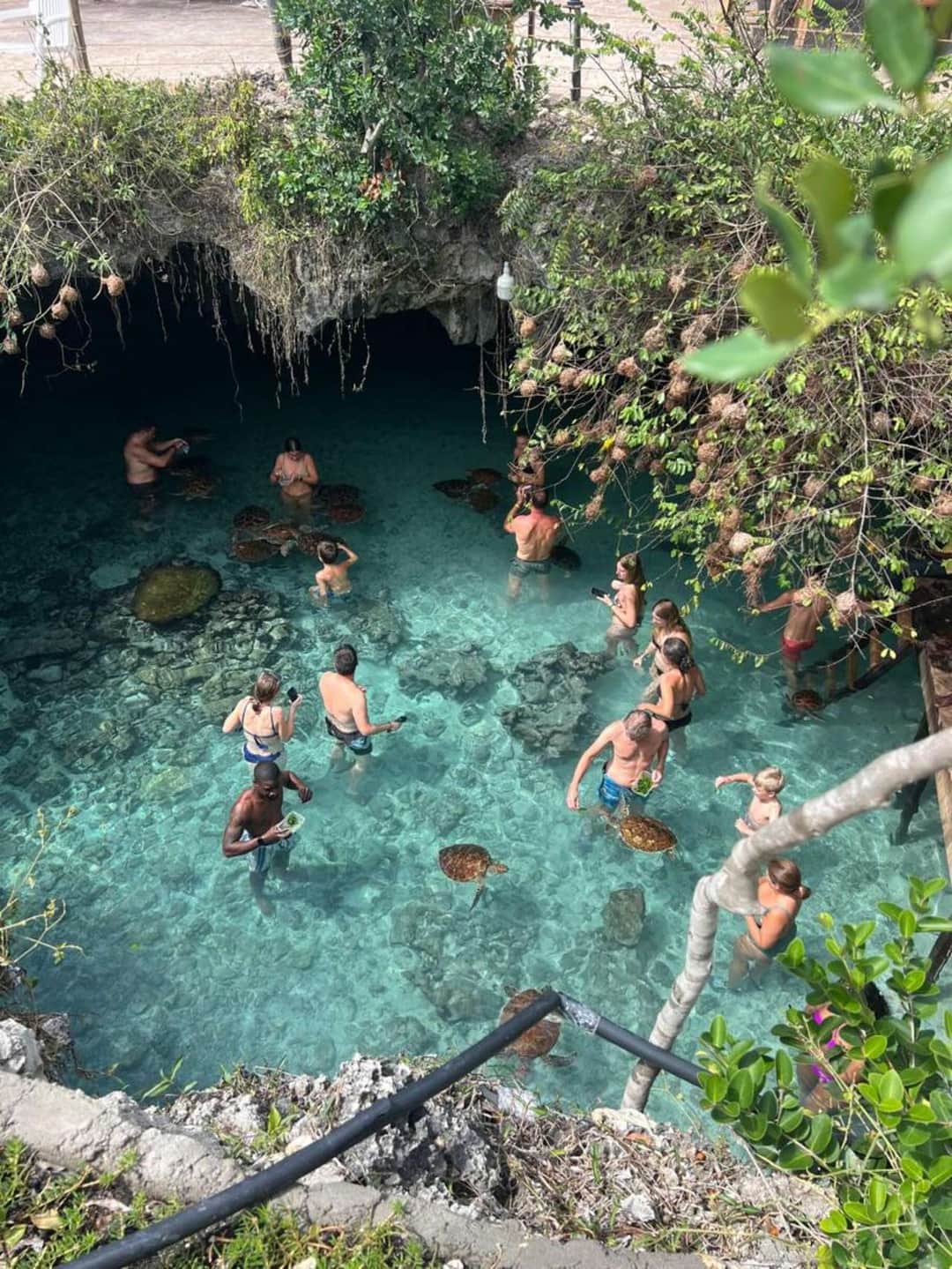 1-Day Jozani Forest & Salaam Cave Tour