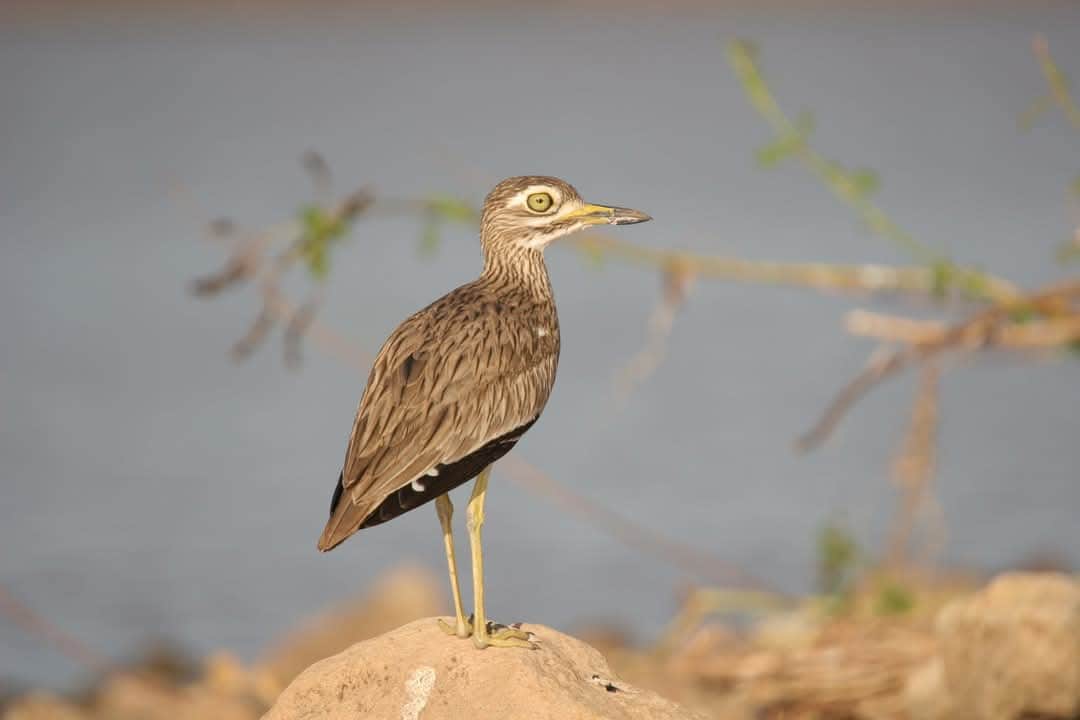 Sambala Tours photo 8