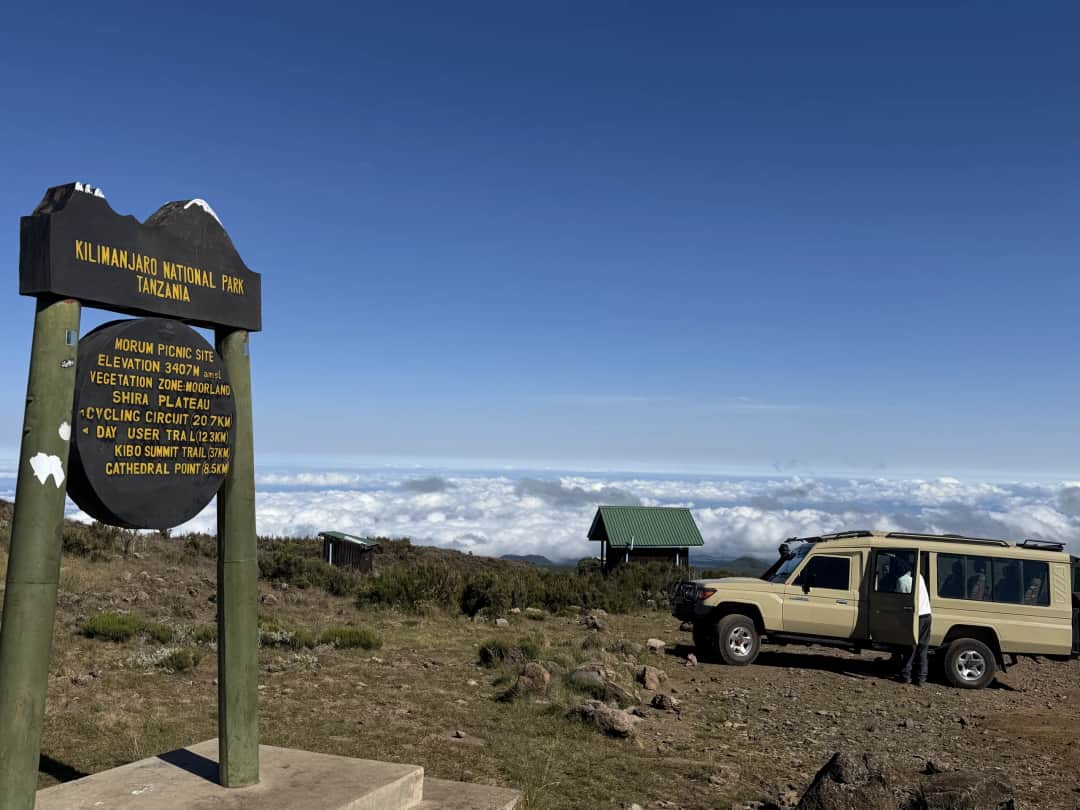 1-Day Mount Kilimanjaro Climbing by car Day Trip photo 3