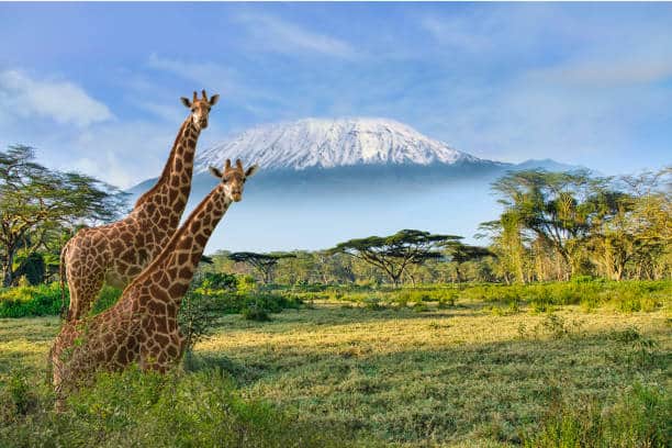 Amboseli National Park