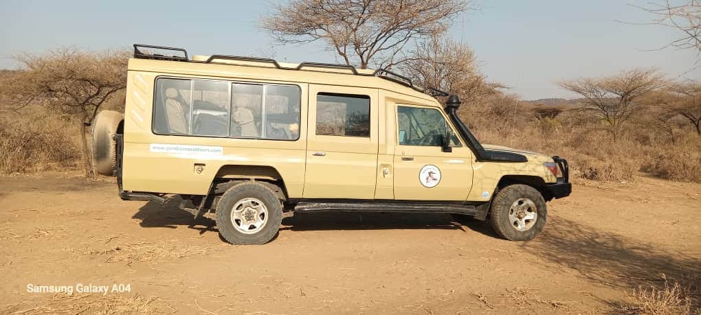4-Day Luxury Honeymoon Safari with Balloon Experience photo 5