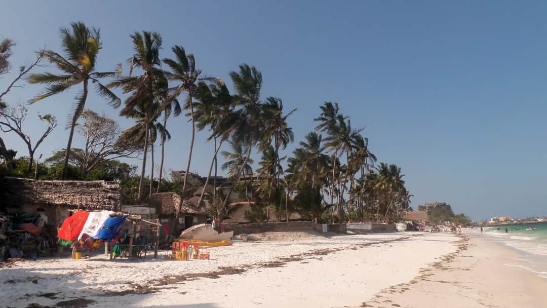 Zanzibar Beach Day
