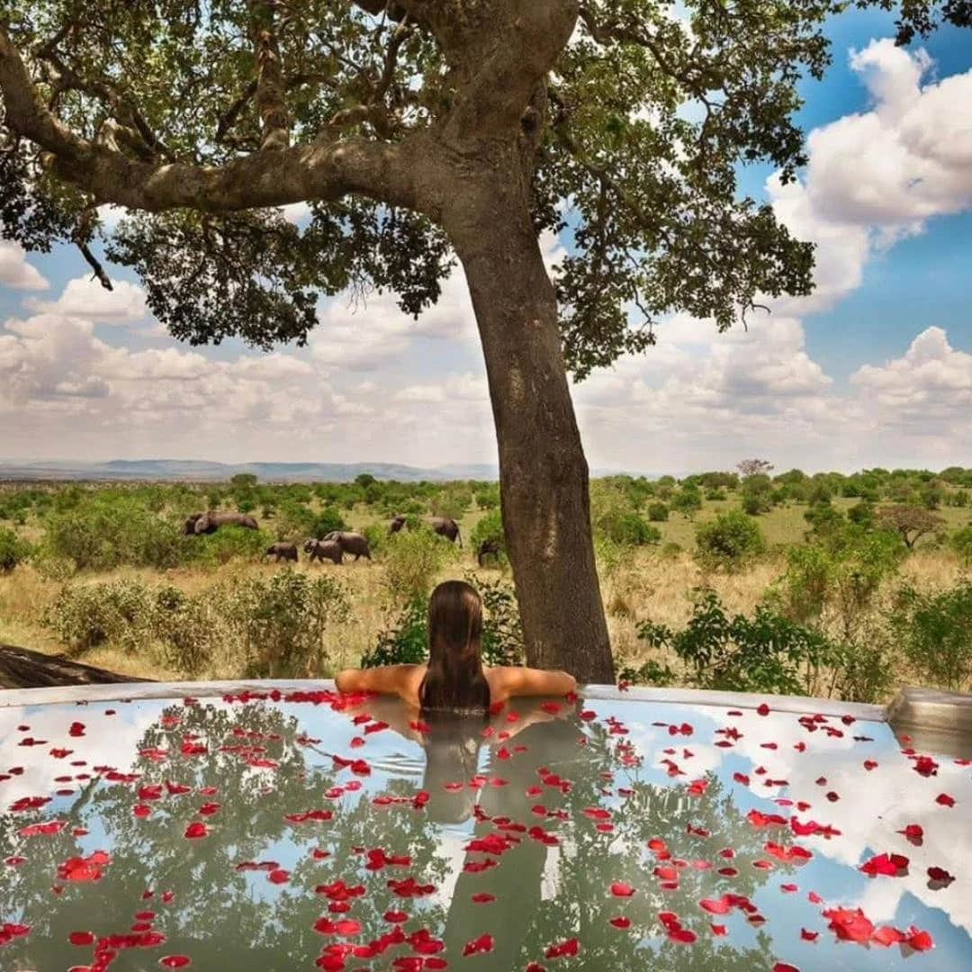 Sentio Safari photo 5