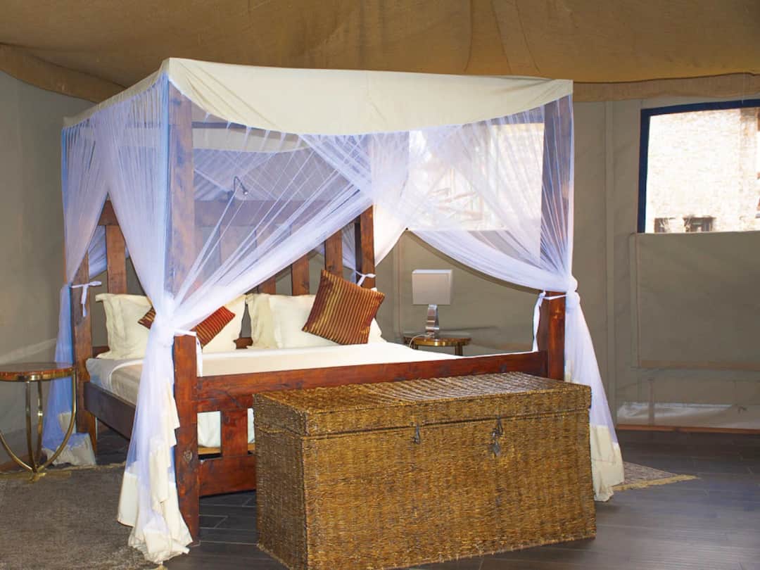 Serengeti Safari Lodge photo 5