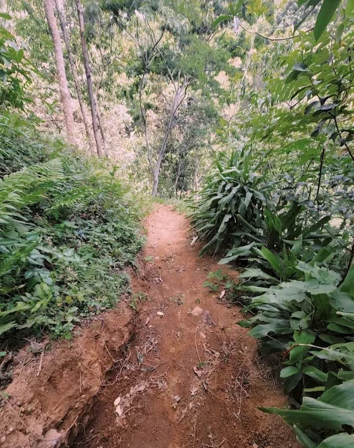 1-Day Materuni Waterfalls, Coffee & Chemka Hot Springs photo 1