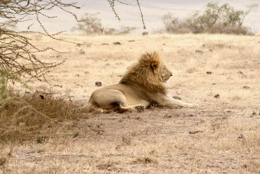 4-Day Whispers of Love in the Wild photo 4