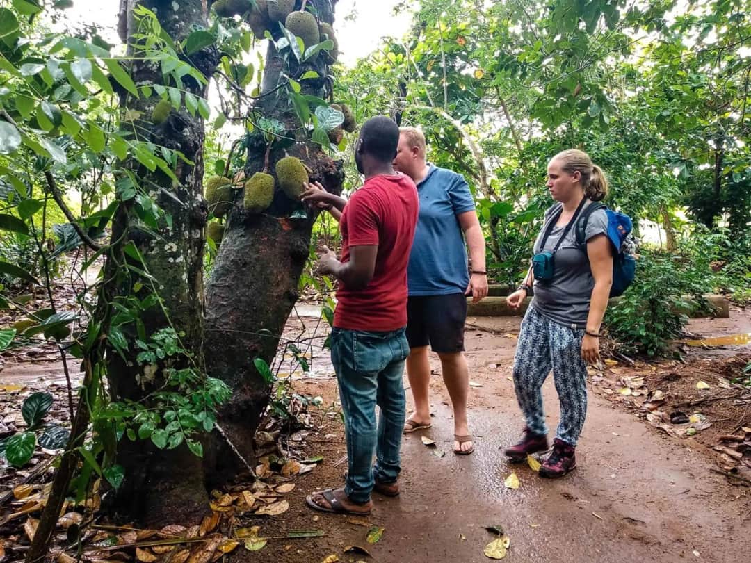 1-Day Private Spice Farm Tour With Local Guide. photo 4
