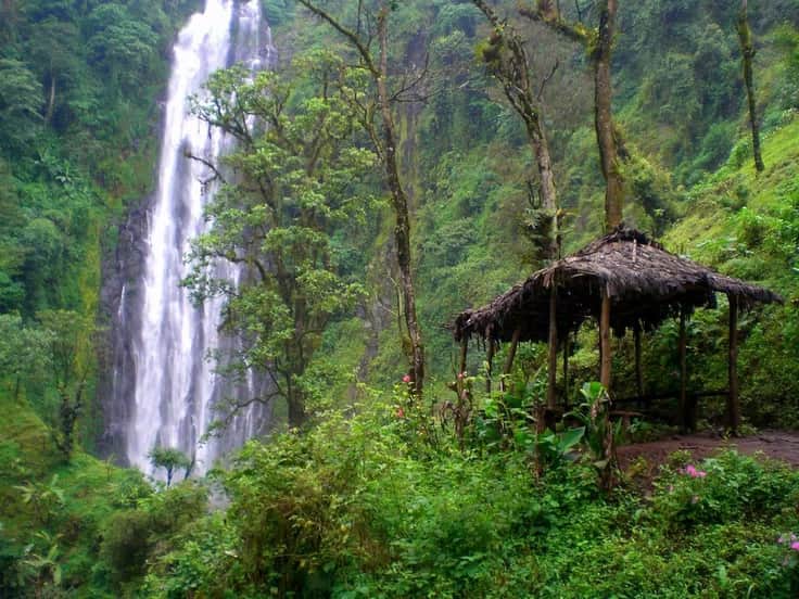 8-Day Encounter the Big 5, Mt Kilimanjaro & Coffee Tour photo 4