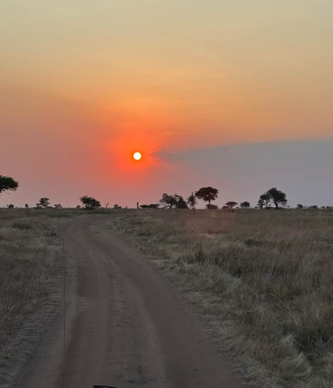 4-Day Journey into the Great Migration Wonderland photo 4