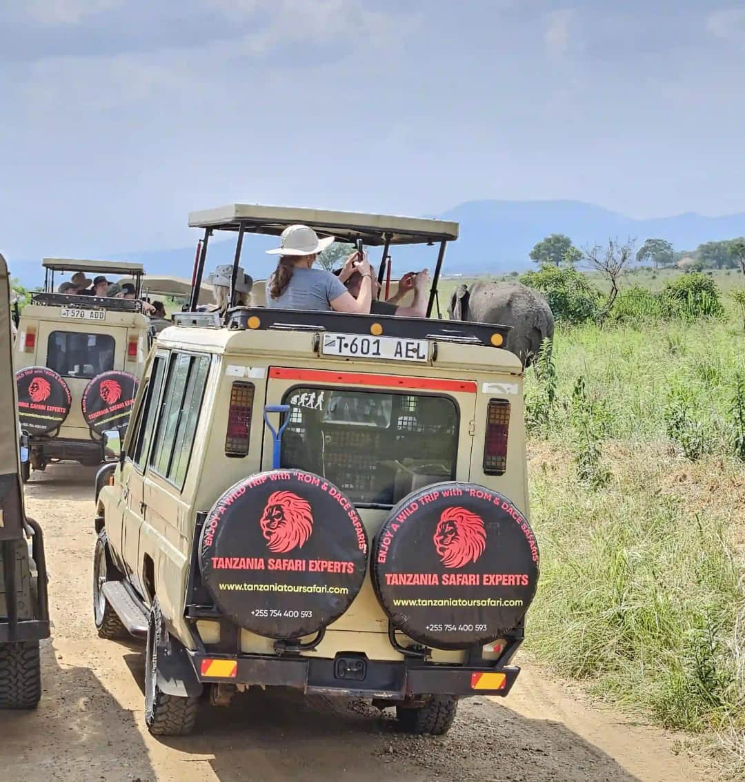 Tanzania Safari Experts – ROM & DACE SAFARIS photo 2