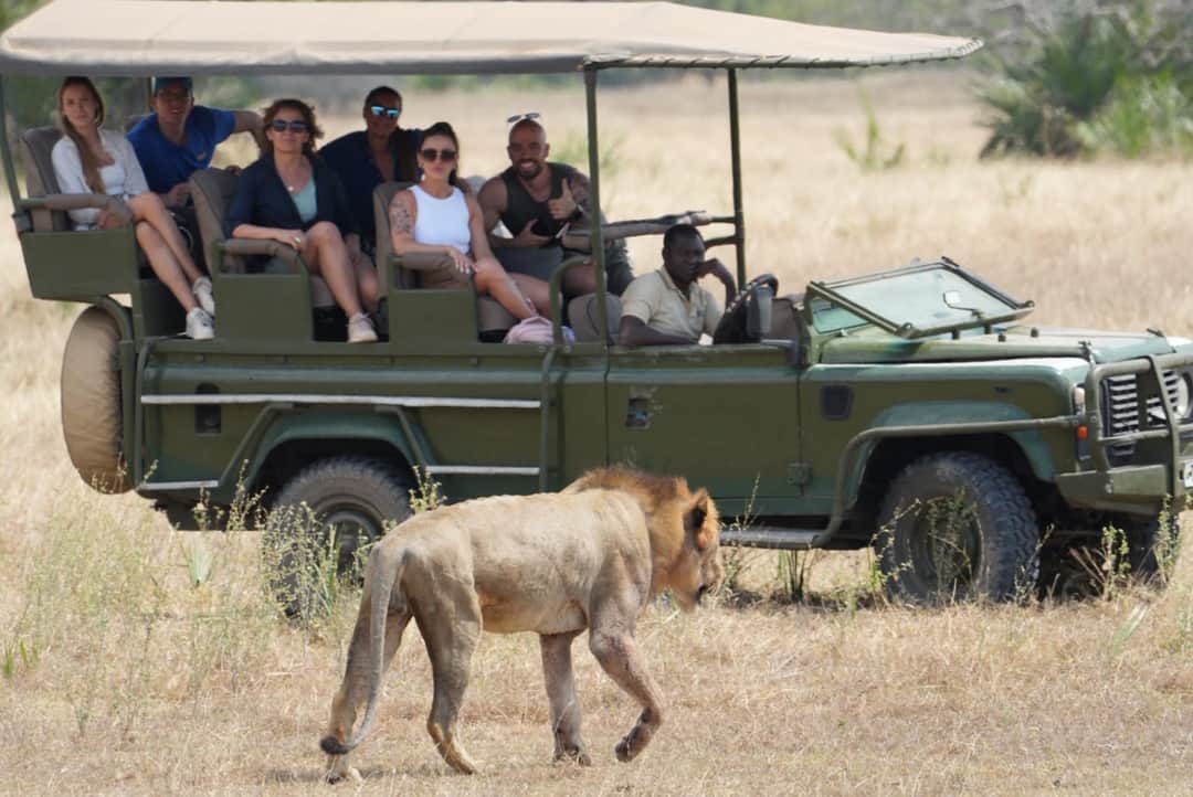 Safari ya Siku 2 kwa Ndege hadi Hifadhi ya Taifa ya Nyerere kutoka Zanzibar photo 2