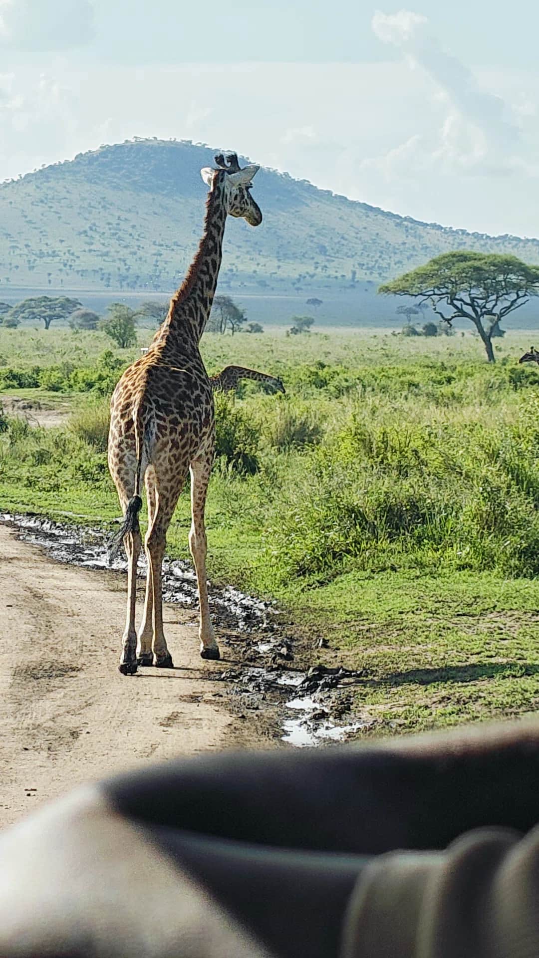 Kiwia Africa Tours photo 2