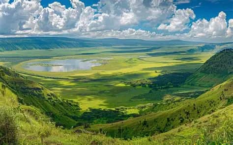 5-Day Exploring Tanzania National Park photo 1