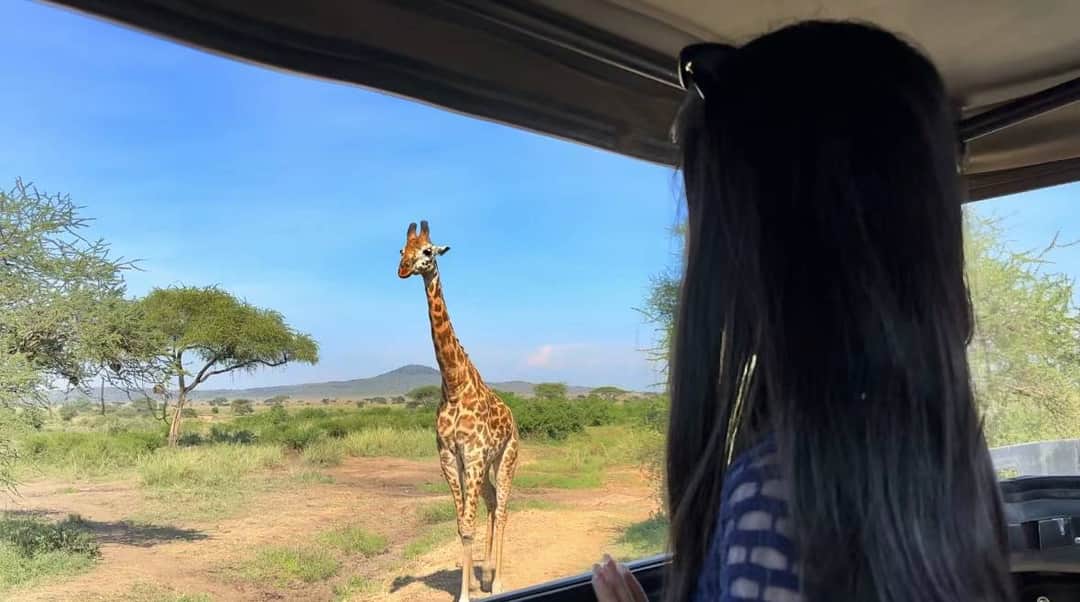 Lappet Faced Safaris photo 5