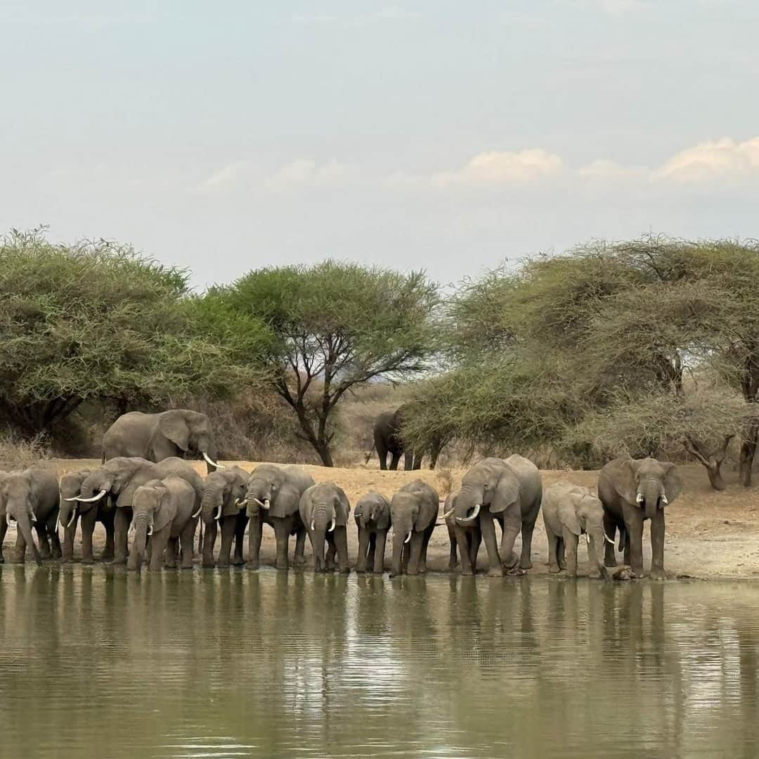7-Day Serengeti,Ngorongoro and Tarangire photo 2