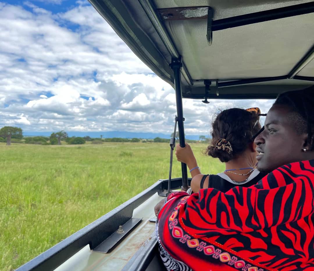 1-Day Tarangire National Park Safari photo 2