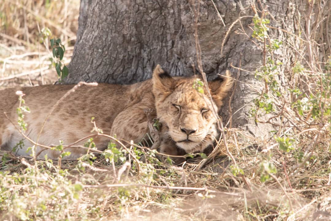  Ngorongoro Crater